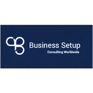 Business Setup - Web development client