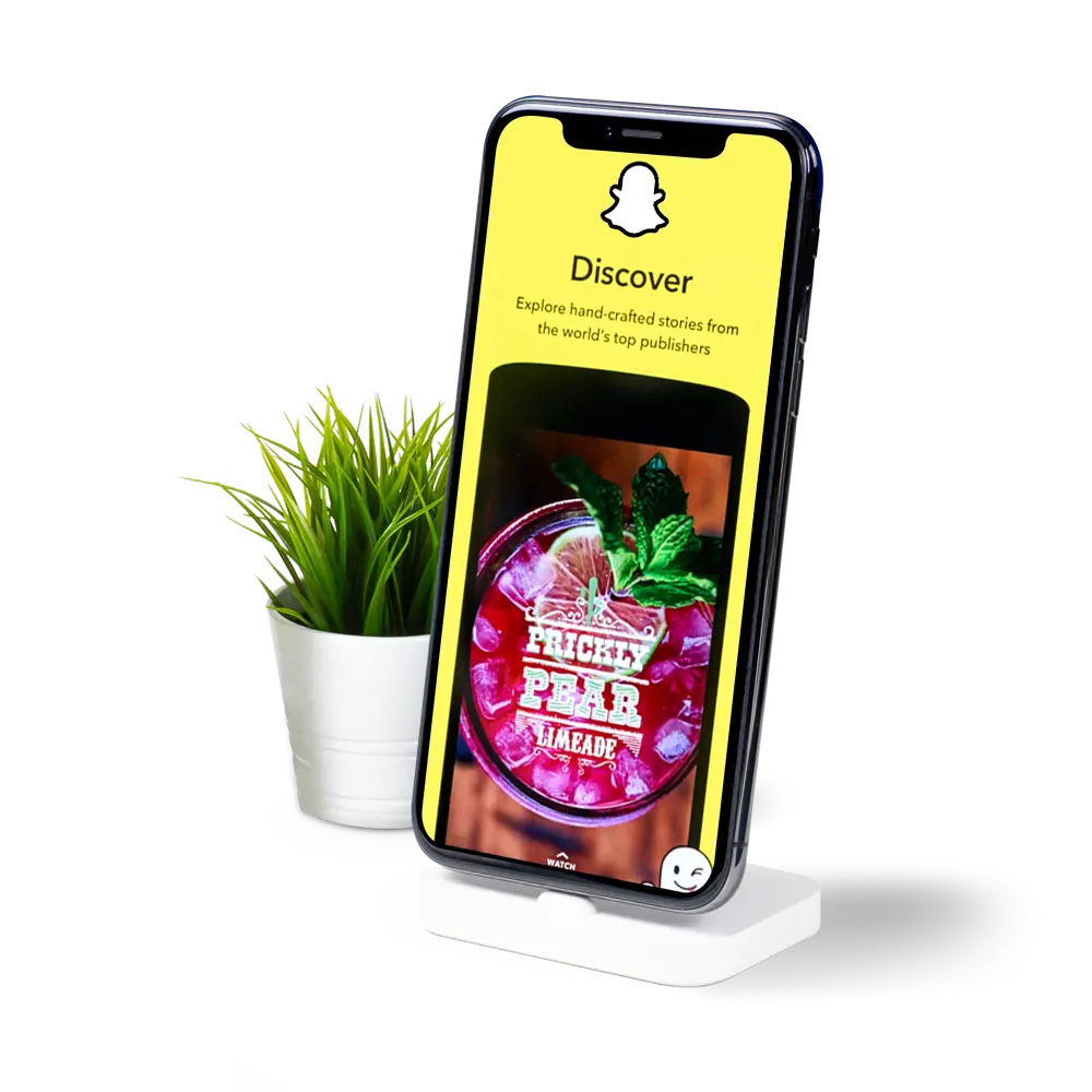 Snapchat ads - Volga Tigris