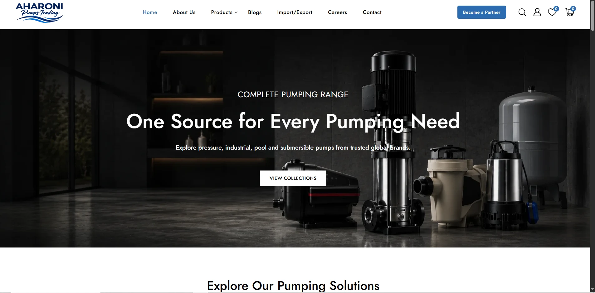 Aharoni Pumps website developed by Volga Tigris