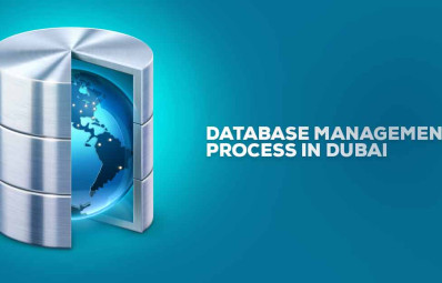 How Do Database Management Companies In Dubai Process And Maintain Various Data?