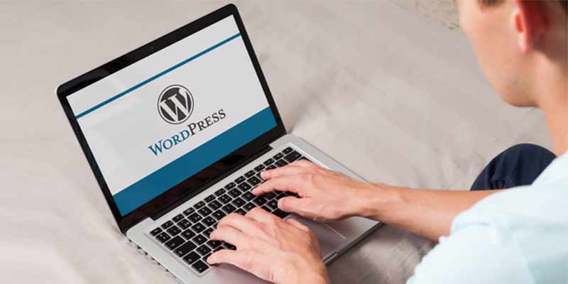 wordpress in web development