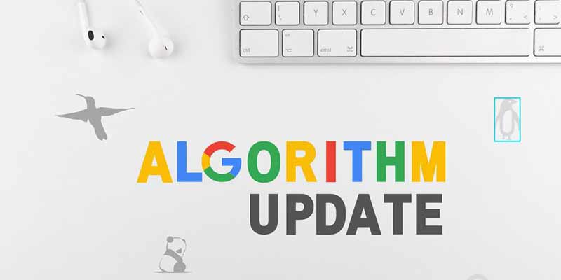algorithm update