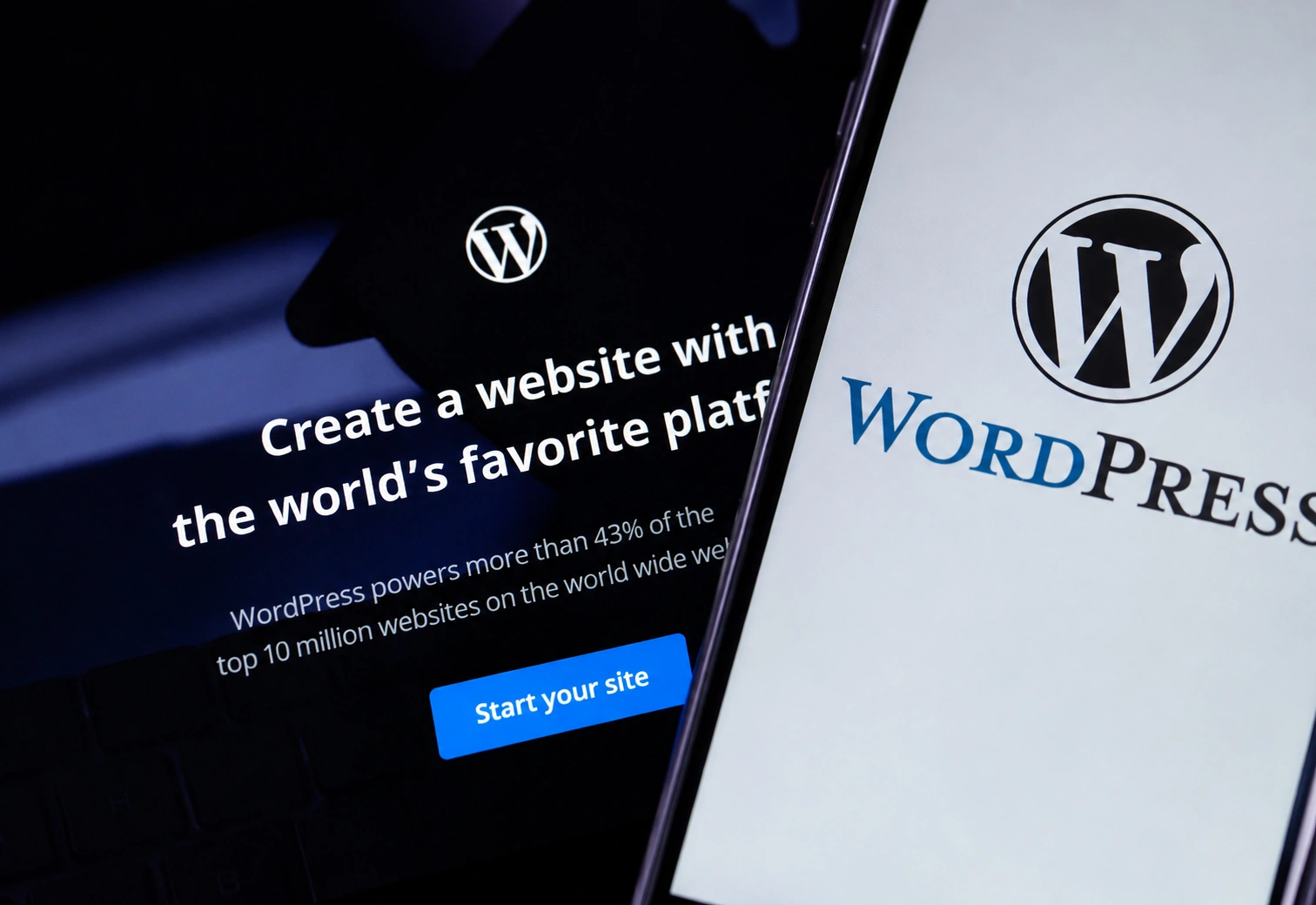 wordpress development dubai