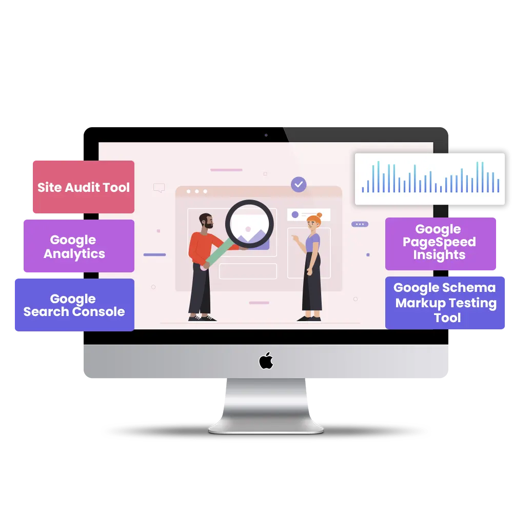 seo audit tools - volga tigris