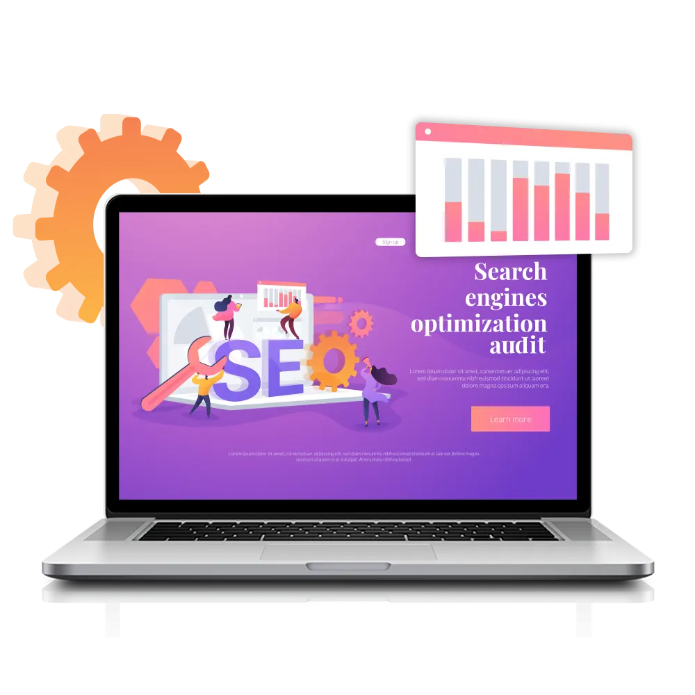 seo audit - volga tigris